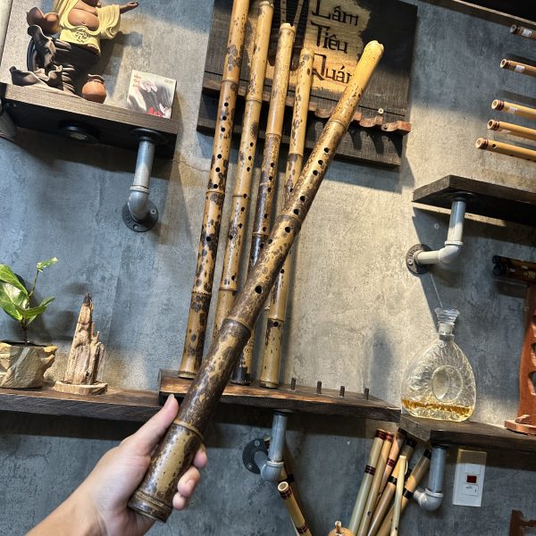 Tiêu Trúc Hoa Cương Cực Chất, Biểu Diễn Chuyên Nghiệp - Hình ảnh 2